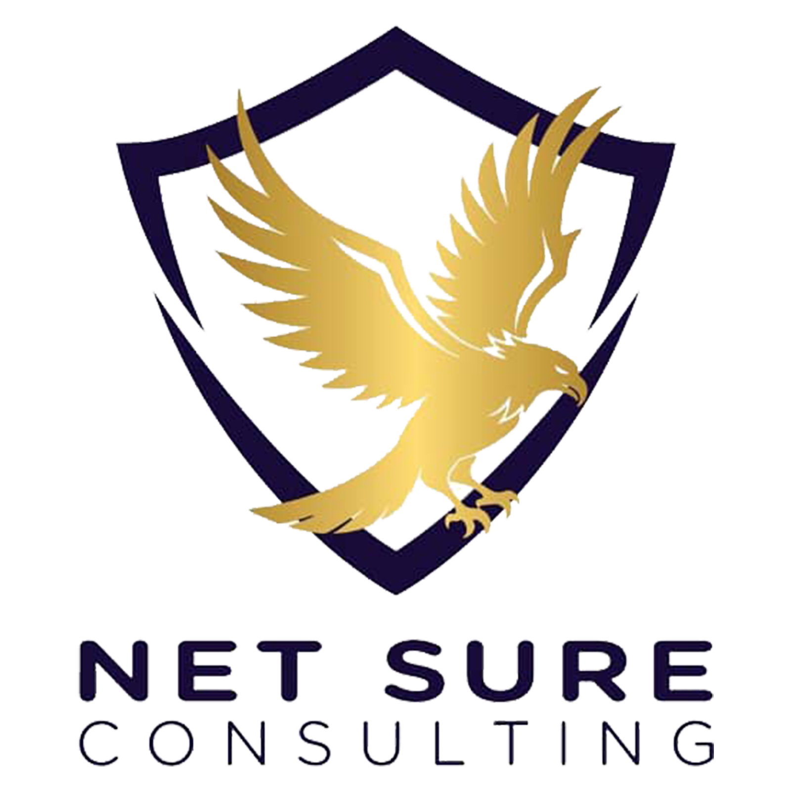 Offres D emplois Netsureconsulting